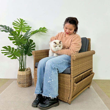 Modern Design Rattan Pet House for Dog and Cat Pet Bed Dog Cat Kennel People Pet Sharing Furniture