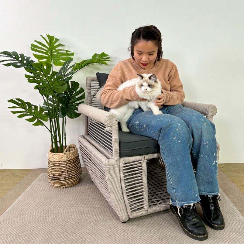 Indoor Luxury Casual Weaving Storage Chairs All Pet Room Furniture and Pet Sharing