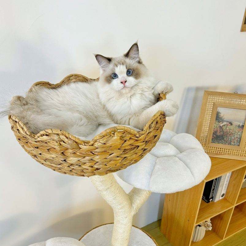 Luxury Cat Tree Tower Classic Large Wood Cat Scratching Post Unique Condo Furniture Pet Gift for Cat Lovers